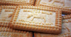 Malted Milk