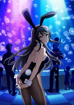 Rascal Does Not Dream of Bunny Girl Senpai cover art