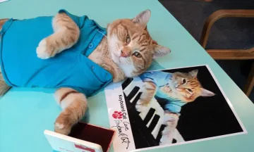 Keyboard Cat cover art