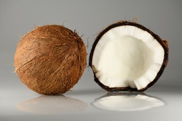 Coconut cover art