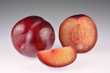 Plum cover art