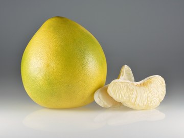 Pomelo cover art