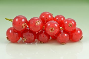 Redcurrant cover art