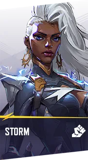 Storm cover art