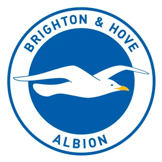 Brighton & Hove Albion cover art