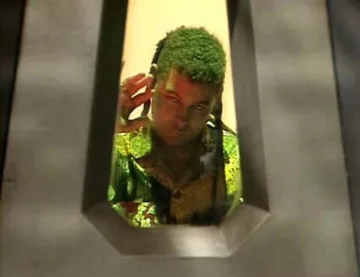 Cloister the Stupid cover art