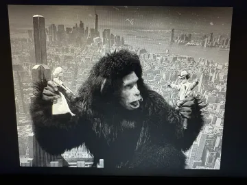 Bi King Kong cover art