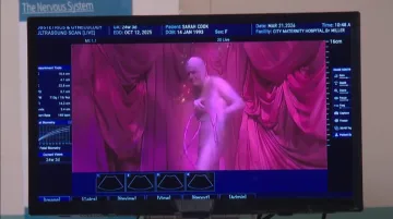 Fake Ass Diva Baby cover art