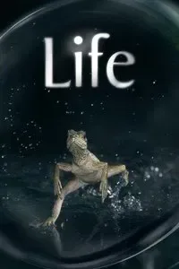 Life cover art