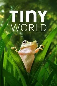 Tiny World cover art