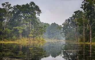 Chitwan National Park cover art