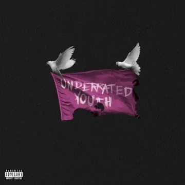 Hope for the Underrated Youth cover art